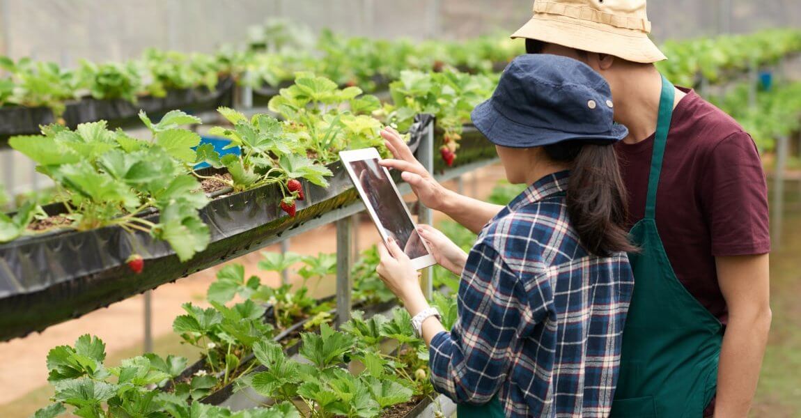 Leading Agri-Input Manufacturer Cuts End-user Device Cost By 50%